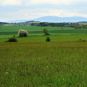 Jaro v Podkrkonoší