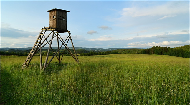 Večerní krajina s posedem