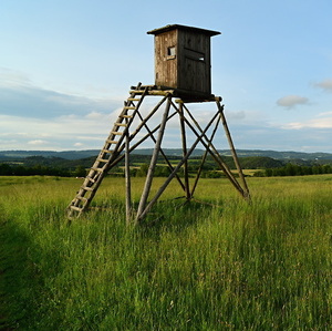 Večerní krajina s posedem