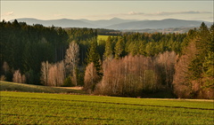 Večerní krajina