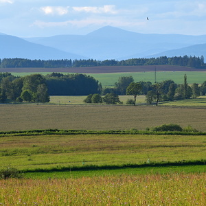 Kdesi v Podkrkonoší