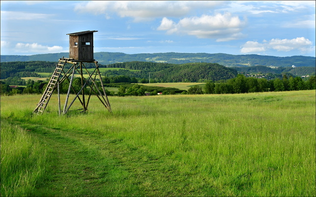 Večerní krajina s posedem 2
