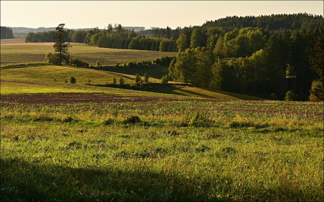 Večerní krajinka