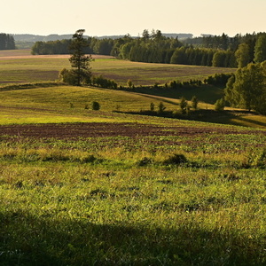 Večerní krajinka