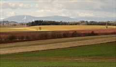 Jarní krajinka