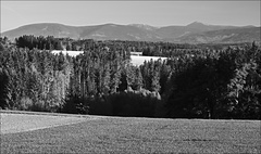 Ranní krajina