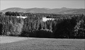 Ranní krajina
