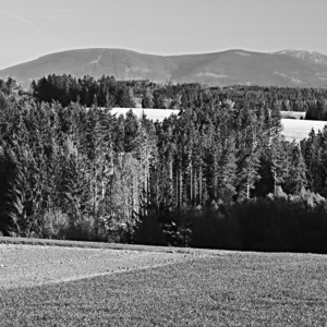 Ranní krajina