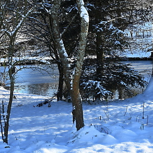 Zimní zátiší s rybníkem