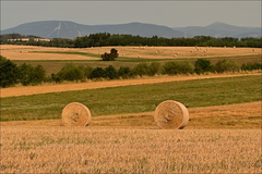 Krajina po žních