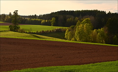 Večerní krajinka