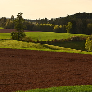 Večerní krajinka
