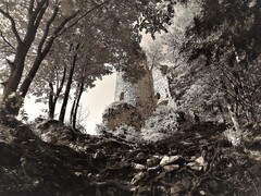 Starý  hrad Varín
