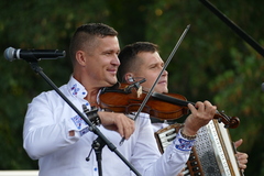 Kollárovci