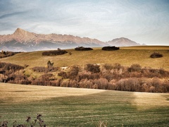 Tatry