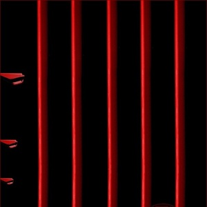 keď sa foto stáva hrou, alebo...