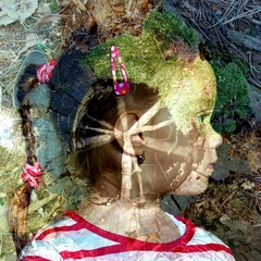 počúvam, čo hovorí les