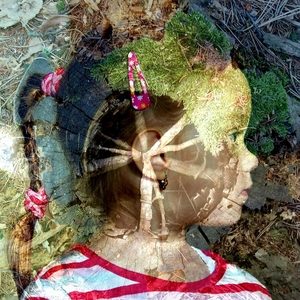 počúvam, čo hovorí les