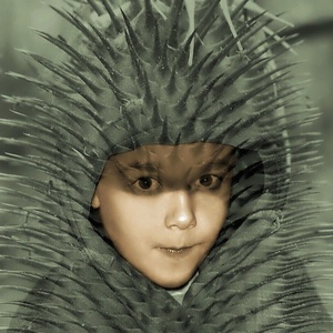 vlčí chlapec