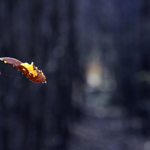 zbytkové svetlo III...