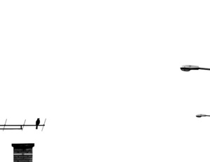 čierne na bielom: správca siete