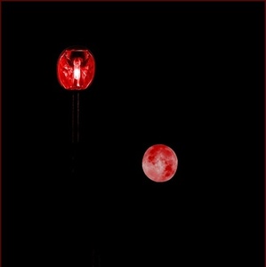 keď sa foto stáva hrou, alebo...