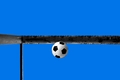 slovenský VAR