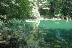 Dunajské rameno