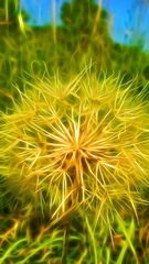 Púpava