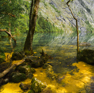 koenigsee