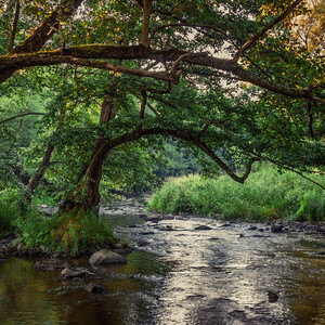 Slovenská Amazónia
