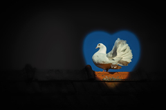 GIVE PEACE A CHANCE