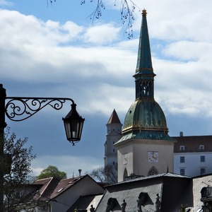 vežičky