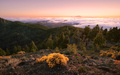 Pico Nieves