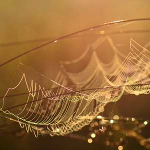 S ránom príde nový deň