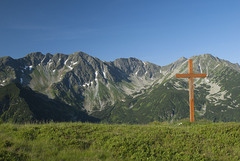 Roháče