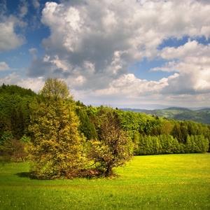 jarní