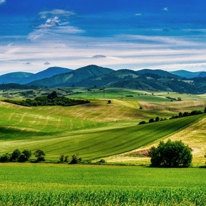 Turčianska záhradka 2