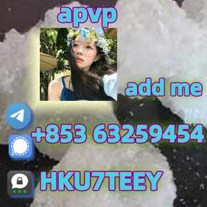 Apvp,14530-33-7,hot-sale(+853 63