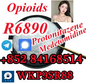 Medetomidine Opioids R6890 porto