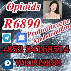 R6890 cas:3222-88-6 Protonitazen