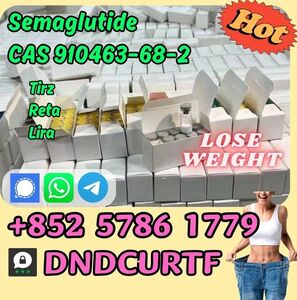 CAS 910463–68–2 Semaglutide