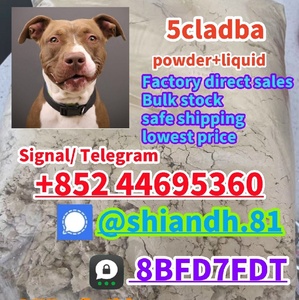 Strong Noids 5CLADBA 5cl-adba AD