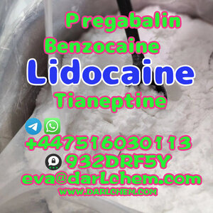 Lidocaine Tianeptine pregabalin