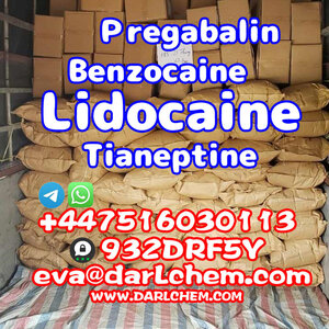 Lidocaine Tianeptine pregabalin