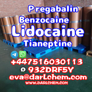 Lidocaine Tianeptine pregabalin