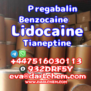 Lidocaine Tianeptine pregabalin