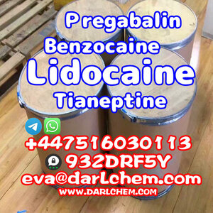 Lidocaine Tianeptine pregabalin