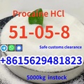 High quality cas 51-05-8 procain