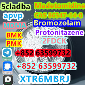 Protonitazene CAS:119276-01-6 M